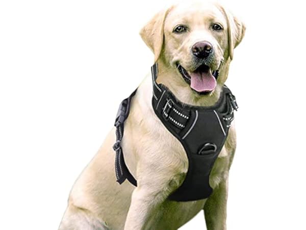 Chalecos tácticos para perros thumbnail