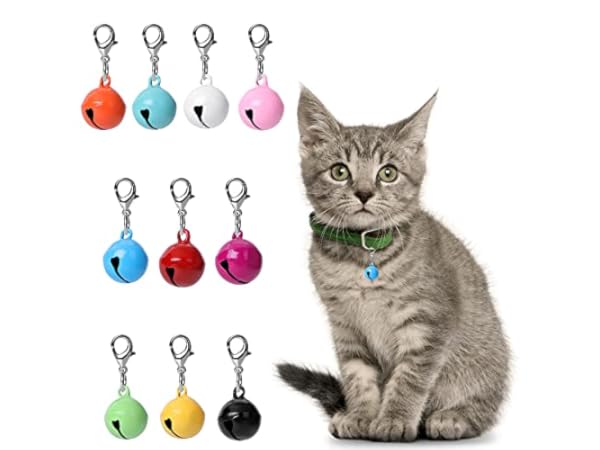 Charms para collares para gatos Miniatura