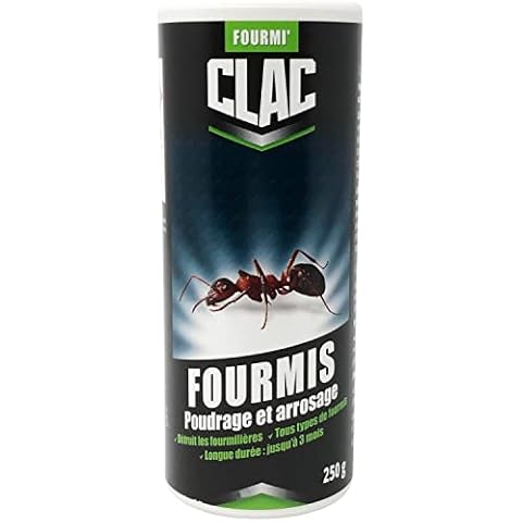 CLAC thumbnail
