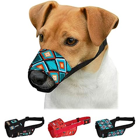 CollarDirect thumbnail