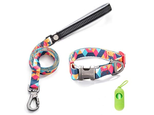 Collares para perros de cuerda thumbnail