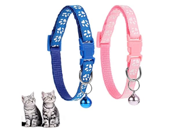 Collares para perros de poliéster thumbnail