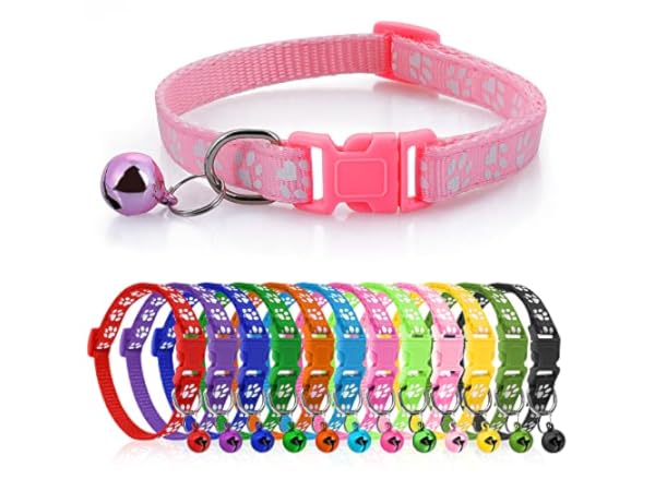 Collares para perros de polipropileno thumbnail