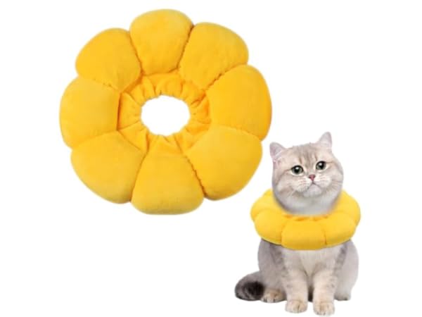 Collerettes pour chats Vignette
