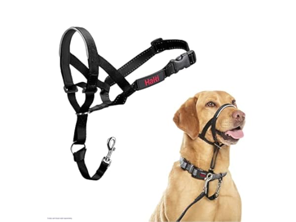 Colliers anti-traction pour chiens Vignette