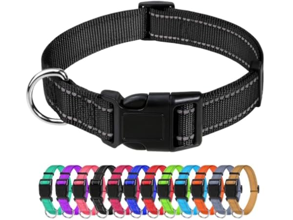 Colliers classiques pour chiens Vignette