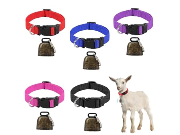 Colliers pour petits animaux Vignette
