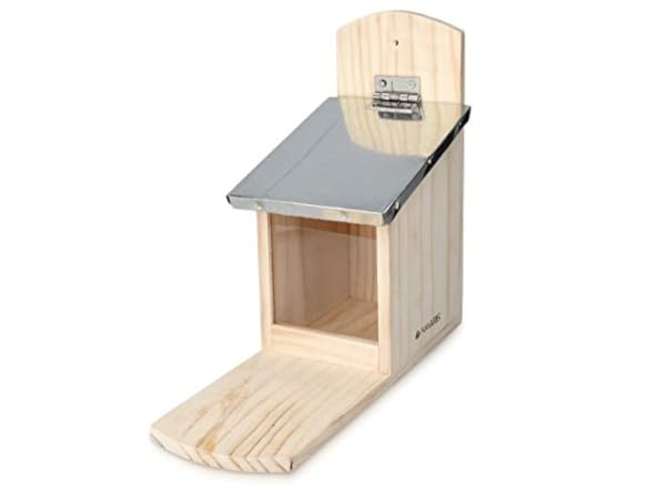 Comederos para ardillas Miniatura