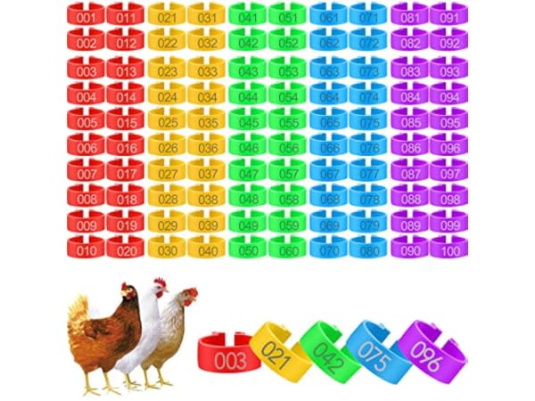 Comederos para cuidado de aves Miniatura