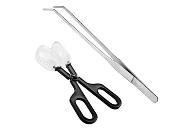 Comederos para reptiles y anfibios Miniatura