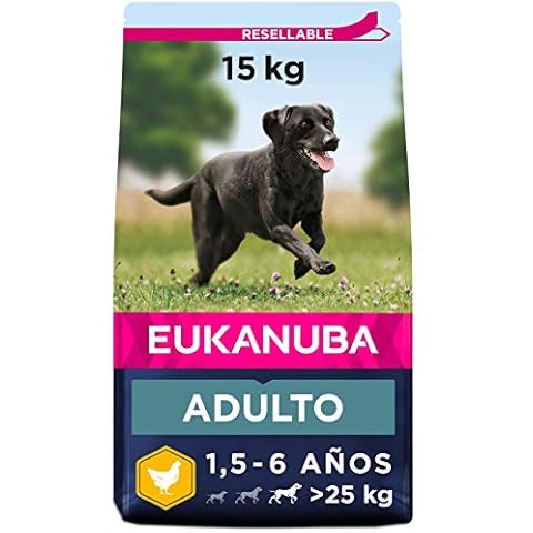 Comida seca para perros