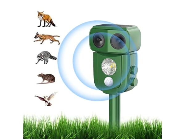 Control de animales domésticos y salvajes Miniatura