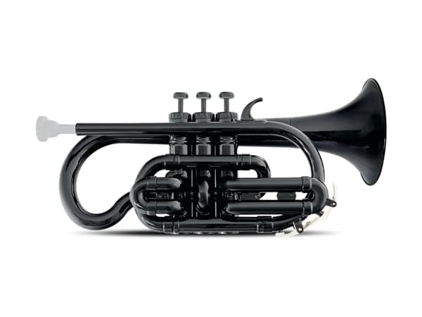 Cornets à pistons Vignette
