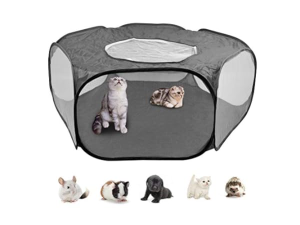 Corralitos para animales pequeños Miniatura