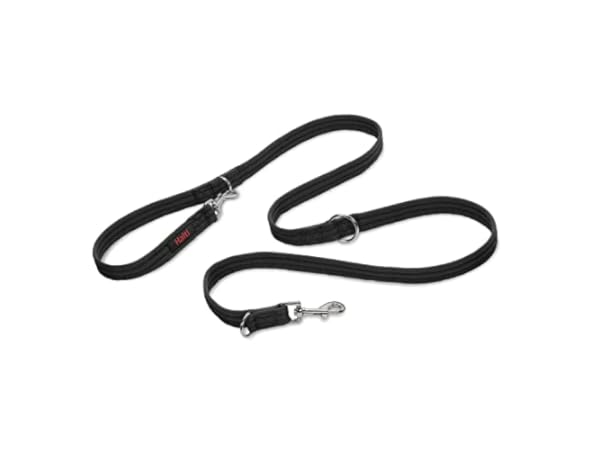 Correas de adiestramiento caninas Miniatura