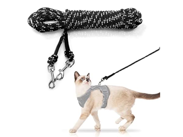 Correas para gatos Miniatura