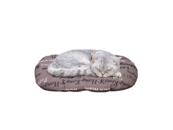 Coussins pour chiens lavables en machine thumbnail