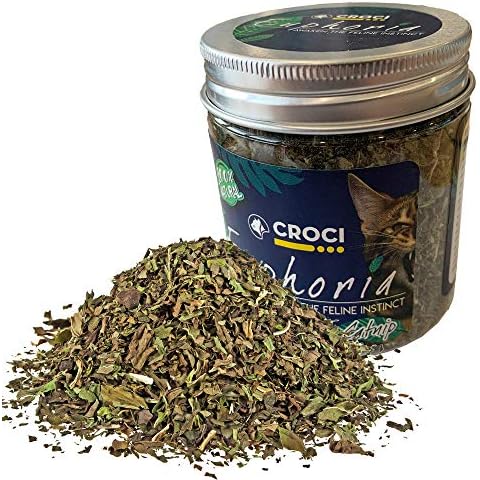 Croci thumbnail
