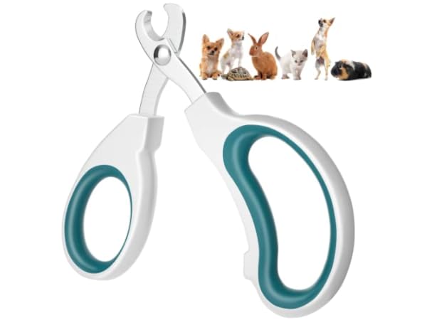 Cuidado de las uñas para gatos Miniatura