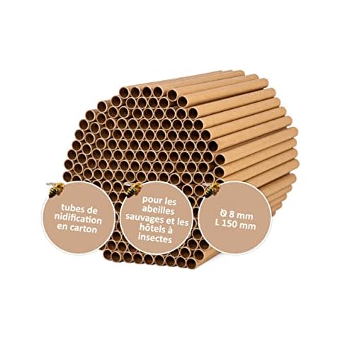 CULT at home thumbnail