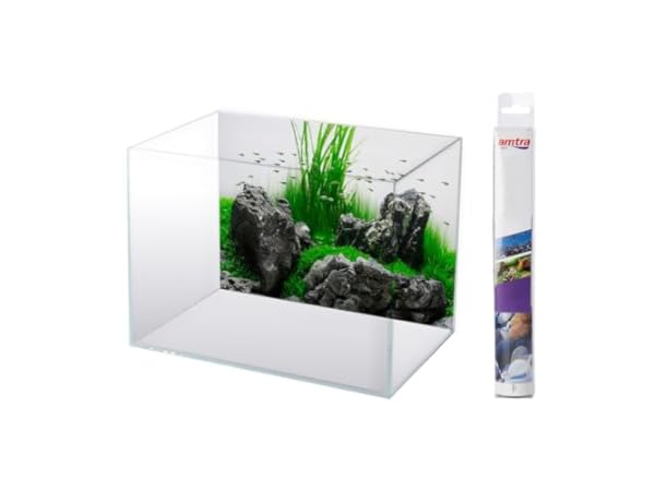Décors pour fond d'aquarium Vignette