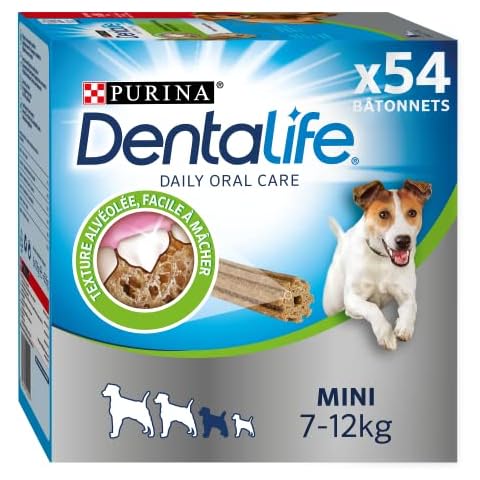Dentalife thumbnail