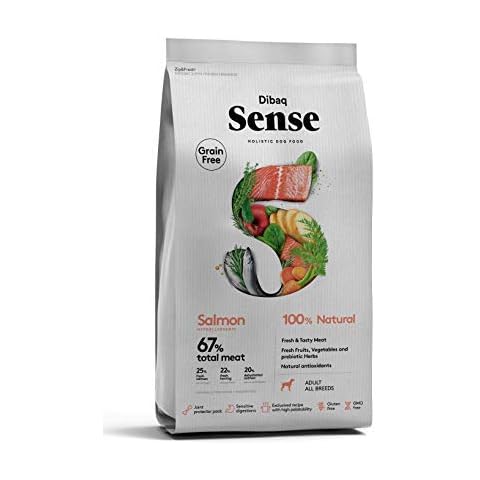 Dibaq Sense thumbnail