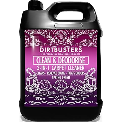 Dirtbusters thumbnail