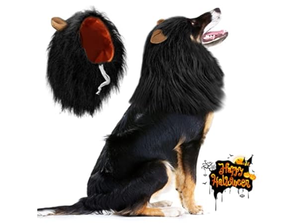 Disfraces para perros Miniatura