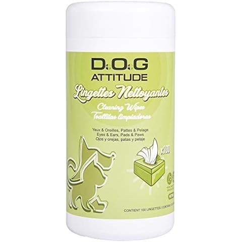 DOG ATTITUDE thumbnail
