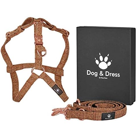 Dog & Dress by Nacy Kena thumbnail
