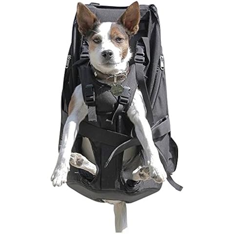 DogCarrier thumbnail