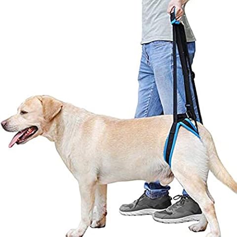 Doglemi thumbnail