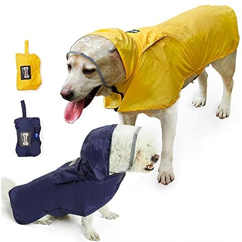 Doglemi thumbnail