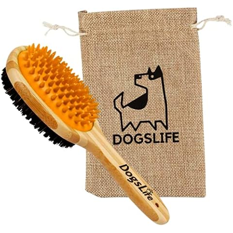 DogsLife thumbnail