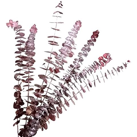 Dongliflower Arts thumbnail