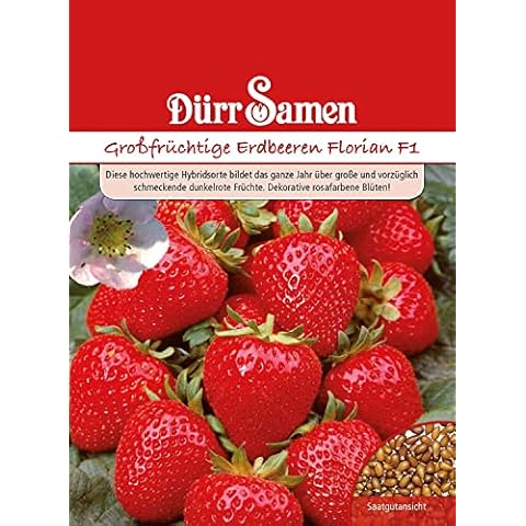 Dürr-Samen thumbnail