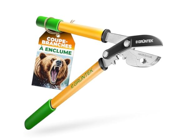 Ébrancheurs de jardinage Vignette