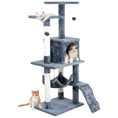 Edipets thumbnail