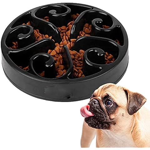 Edipets thumbnail