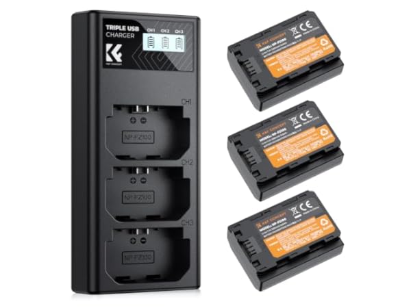 Ensembles batterie et chargeur pour caméscope Vignette