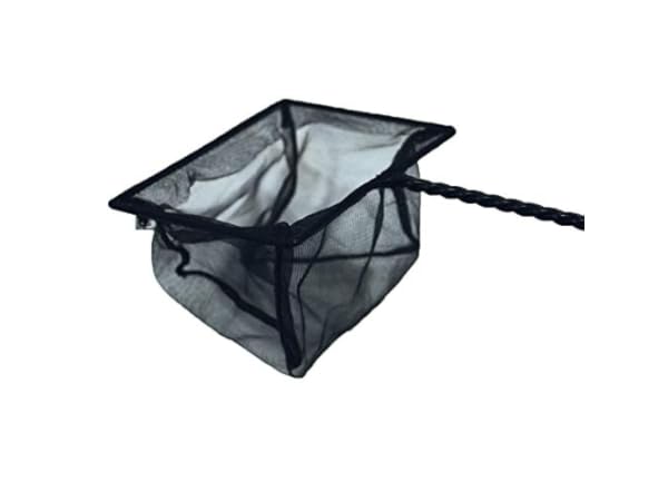 Épuissettes pour aquarium Vignette