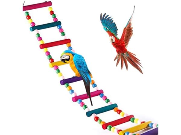 Escaleras para pájaros Miniatura