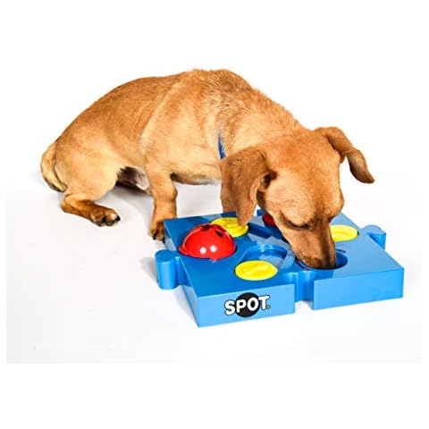 Ethical Pets thumbnail