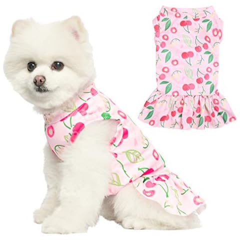 EXPAWLORER thumbnail