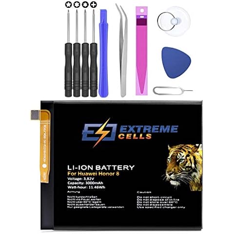 Extremecells thumbnail