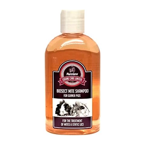 Farriers Equine Care thumbnail