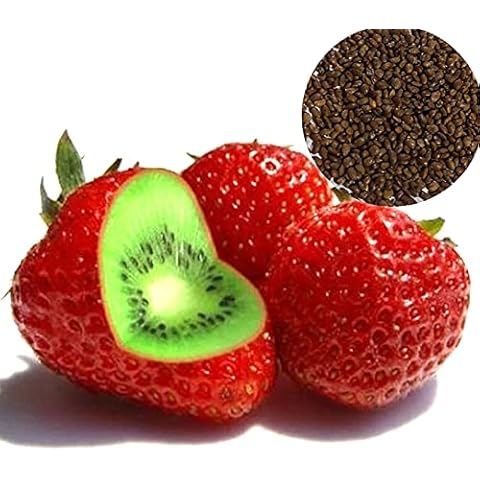 FeiyanfyQ thumbnail
