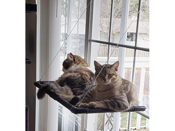 Fensterplätze für Katzen Vorschaubild