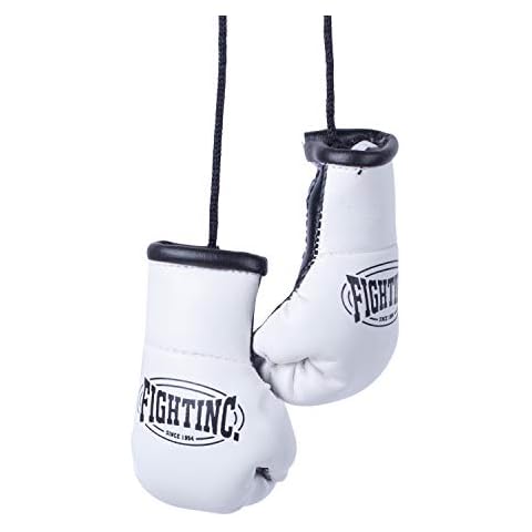 Fightinc. thumbnail